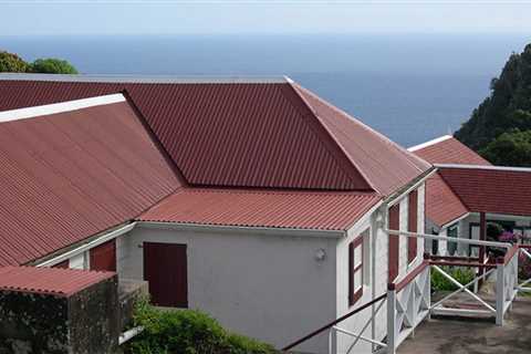 How to Clean Metal Roof From the Ground