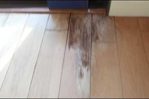 Repair water damage on wood floor - Easy beginner do it yourself improvement