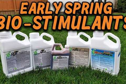Spring Lawn Care - What I Apply FIRST!