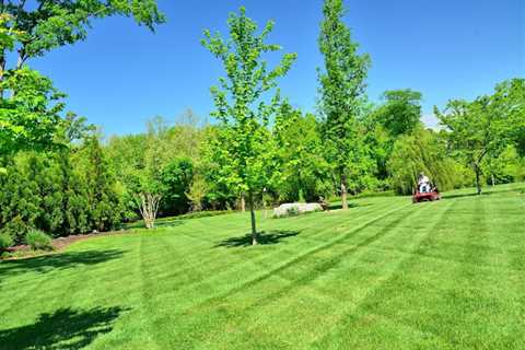 EPS Landscaping & Tree Service LLC