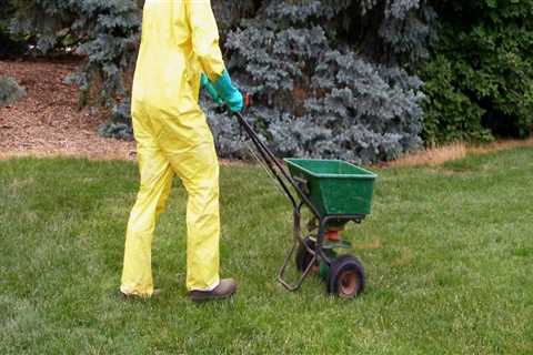 When to apply pest control to lawn?