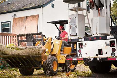   georgetown tree service	 