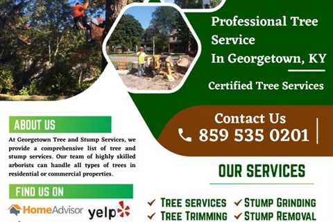 Georgetown Tree & Stump Service (Family-Owned Tree Company)