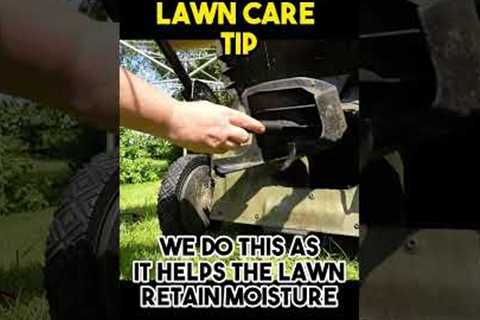 Cut the lawn in a heatwave, are you MAD 🌞 #lawncare