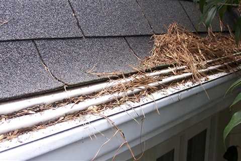 Are gutters really worth it?