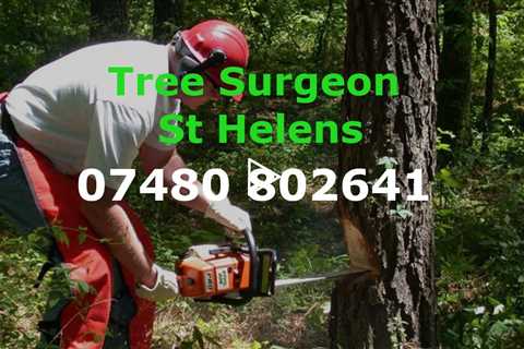 Tree Surgeon St Helens Tree Felling Pruning Stump & Root Removal Services Commercial & Residential