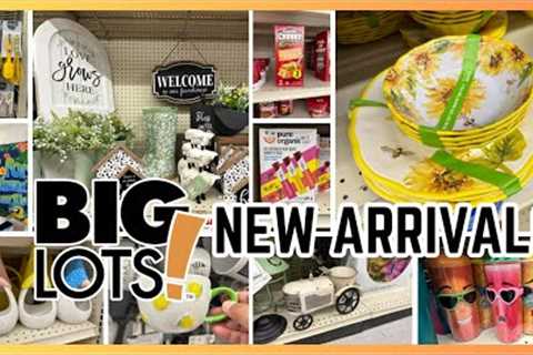 WHY YOU SHOULD BE SHOPPING AT BIG LOTS 2023! 🚚 Home Essentials, Summer Deals and Target Clearance!