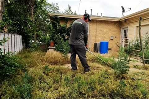 DISABLED Air Force VETERAN Needed Help RESTORING Her Overgrown Lawn