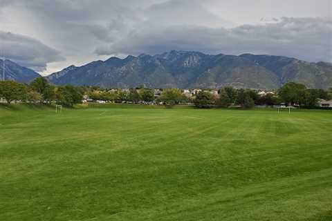 Sandy Utah Tree Removal