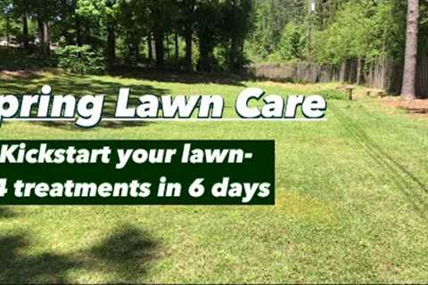 Spring Lawn Treatments for Centipede & St. Augustine grass | Walmart lawn fertilizers