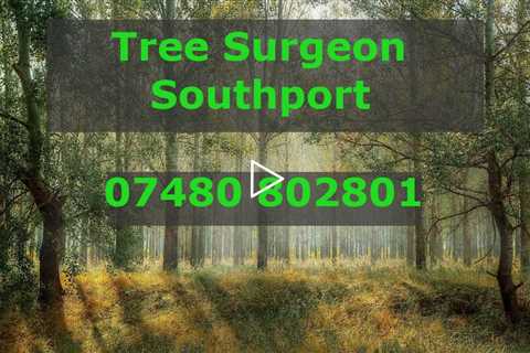 Tree Surgeon Southport Tree Felling Pruning Root And Stump Removal Services Residential & Commercial