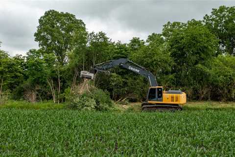 How to find a good tree removal service?