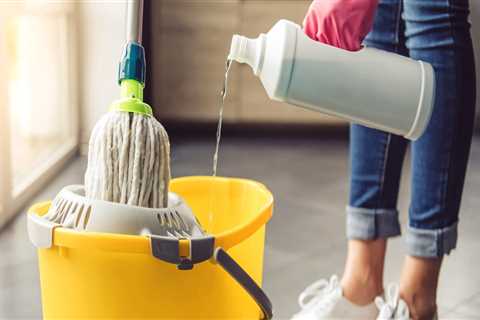 How often should you spray your home?