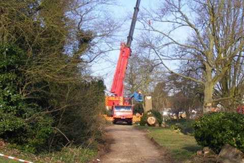 Redvales Tree Surgeons 24-Hr Emergency Tree Services Felling Dismantling And Removal