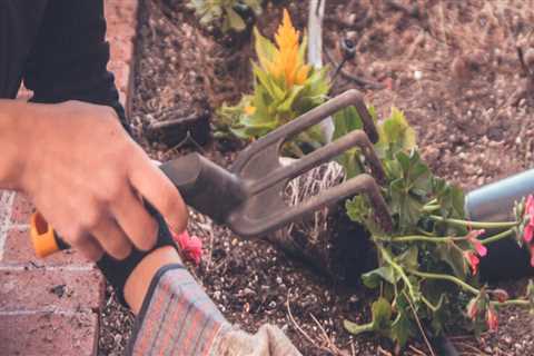 What do you call a tree gardener?