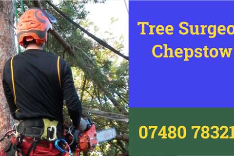 Tree Surgeon Varteg Residential And Commercial Tree Removal Services