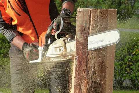 Tree Surgeons Llantilio Crossenny Tree Dismantling Felling And Removal across Llantilio Crossenny