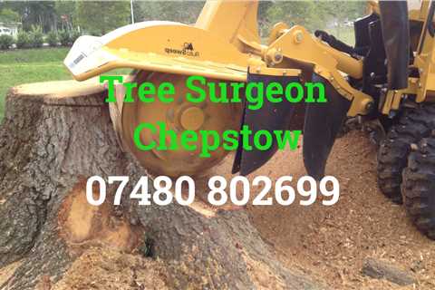 Residential And Commercial Tree Removal Chepstow