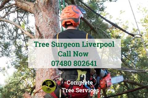 Tree Surgeon Liverpool