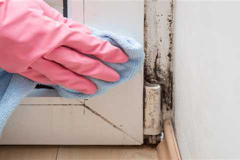 How to Remove Pink Colored Mold in Bathroom - Pink Mold