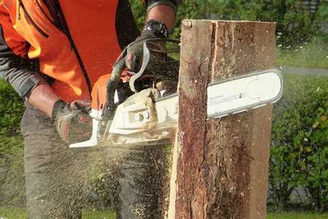Tree Surgeons Osbaston 24-Hr Emergency Tree Services Felling Dismantling & Removal