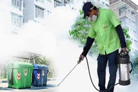 Keeping Your Home Pest-Free: The Essential Role of Professional Pest Control Services – Rein..