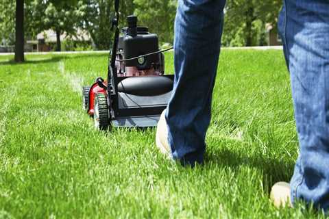 Why is lawn maintenance important?