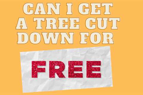 Can I get a tree cut down for free?