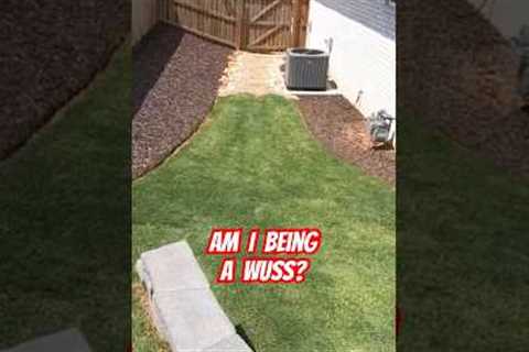 Still looks better than yours! 😆🍻 #lawncare #youtube #shorts