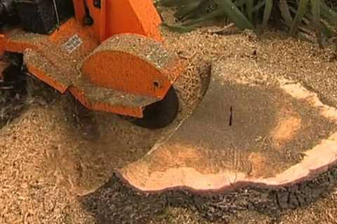 Tree Stump Grinding Services near Georgetown, KY | Lawn Worx