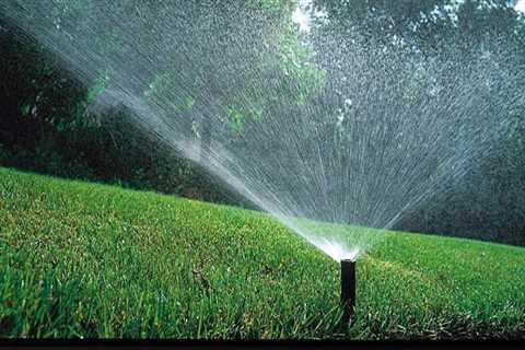 How To Keep A Healthy Lawn In Omaha: The Role Of Grass Seed And Sprinkler System Repair