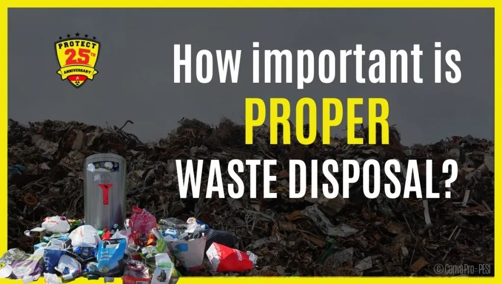 WA: Expert Solutions For Proper Waste Disposal