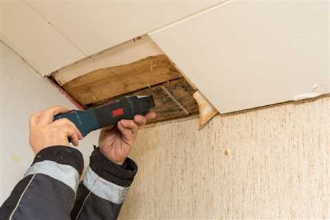 Get Rid of Mould For Good with Mould Removal Newcastle Experts