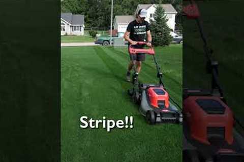 Lawn Striping Like A PRO With A Push Mower #lawncare #lawnstripes #grass