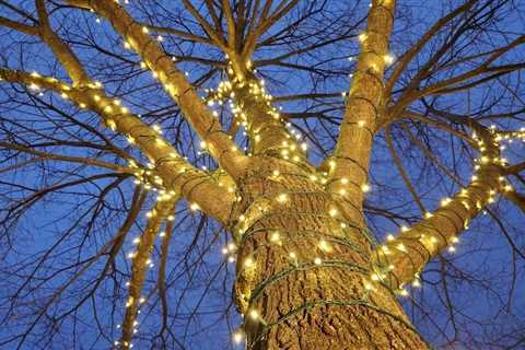 Bright Ideas For Landscapers On National Christmas Lights Day!