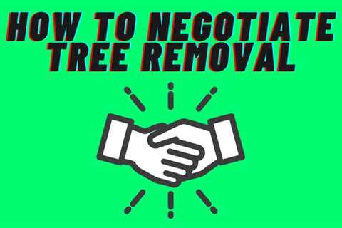 How to negotiate tree removal? 10 Tips (2021)