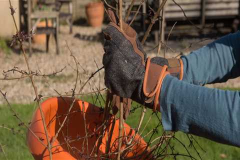 Which garden mulcher is best?