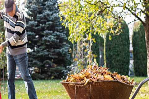 How Much Does it Cost to Remove Garden Waste?