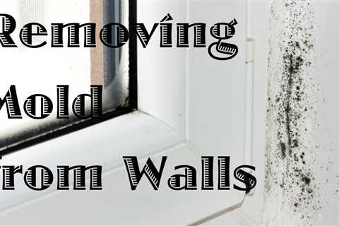 Removing Mold From Walls