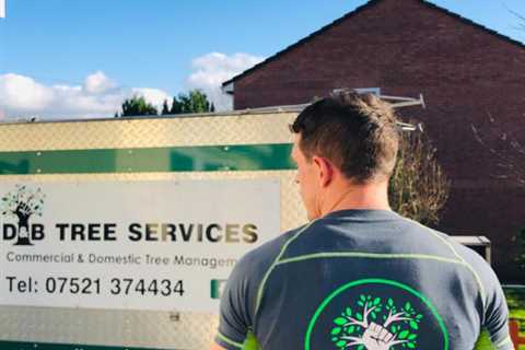 Tree Surgeon Wyesham