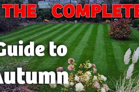 The BIGGEST ever autumn lawn tips compilation - An hour of lawn care Advice