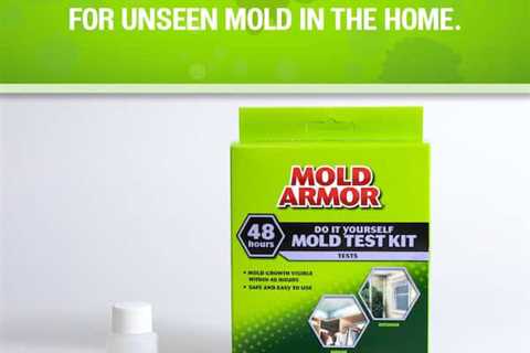 How Do You Test For Mold In Indoor Air?