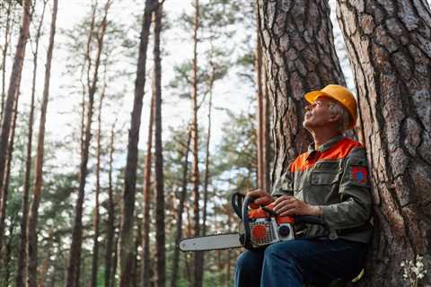 The Benefits of Using a Certified Arborist for Tree Care