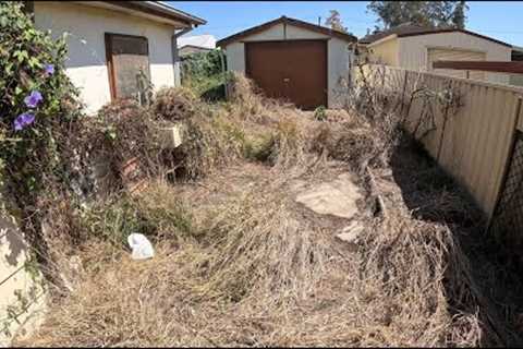 Part 2 - NEGLECTED yard now BEST in the STREET