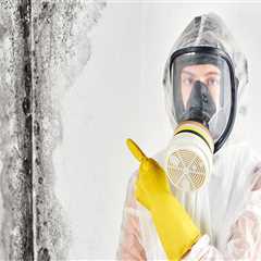 Mold Removal in Toms River, NJ: A Crucial Step Before Maid Service
