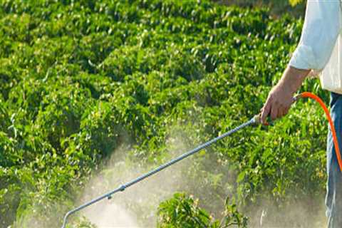 Do organic products have pesticides?