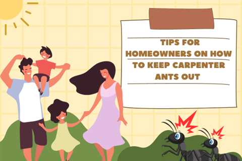 Tips to Keep Carpenter Ants At Bay This Summer
