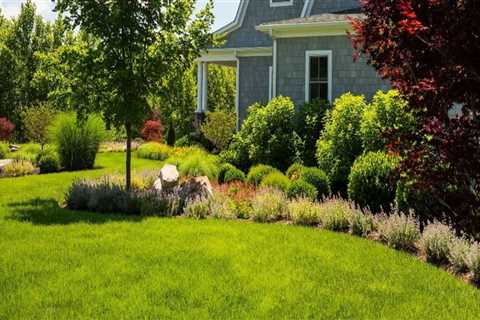 The Importance Of Tree Service In Leesburg, Virginia: Enhancing Your Landscape