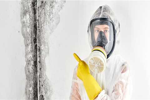 Mold Removal in Toms River, NJ: A Crucial Step Before Maid Service