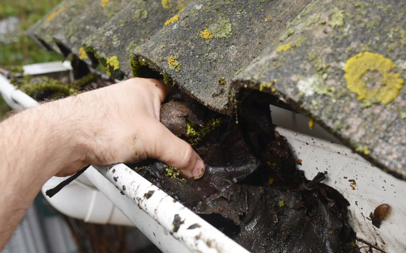 Gutter Cleaning Progress Village, Florida